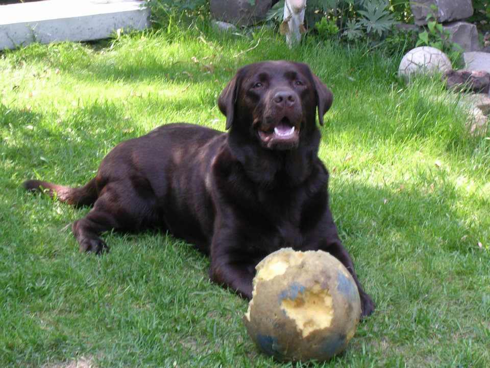 429382_362321457134353_2056010871_n