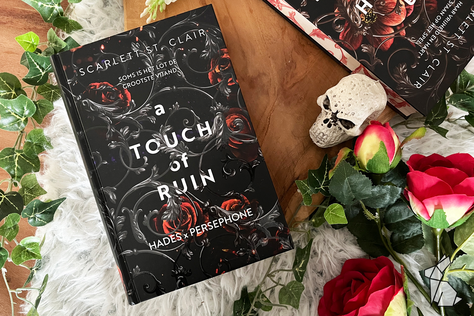 leesboek a touch of ruin